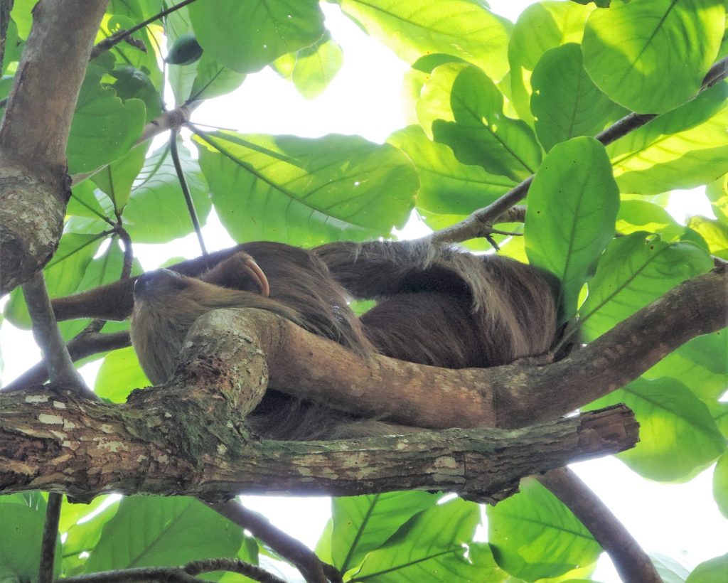 Costa Rica